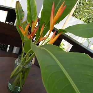  Villa Chalisa Thaïlande